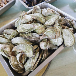 二次元互动专区